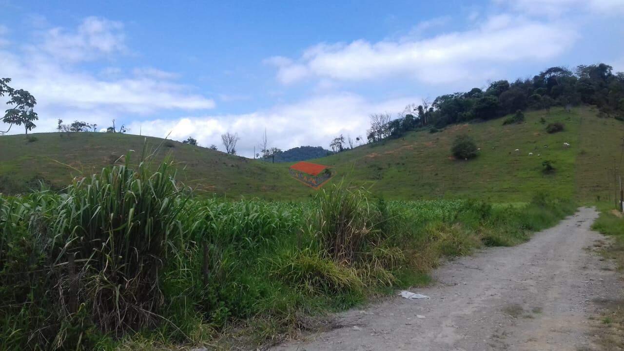 Chácara à venda com 1 quarto, 3500m² - Foto 3